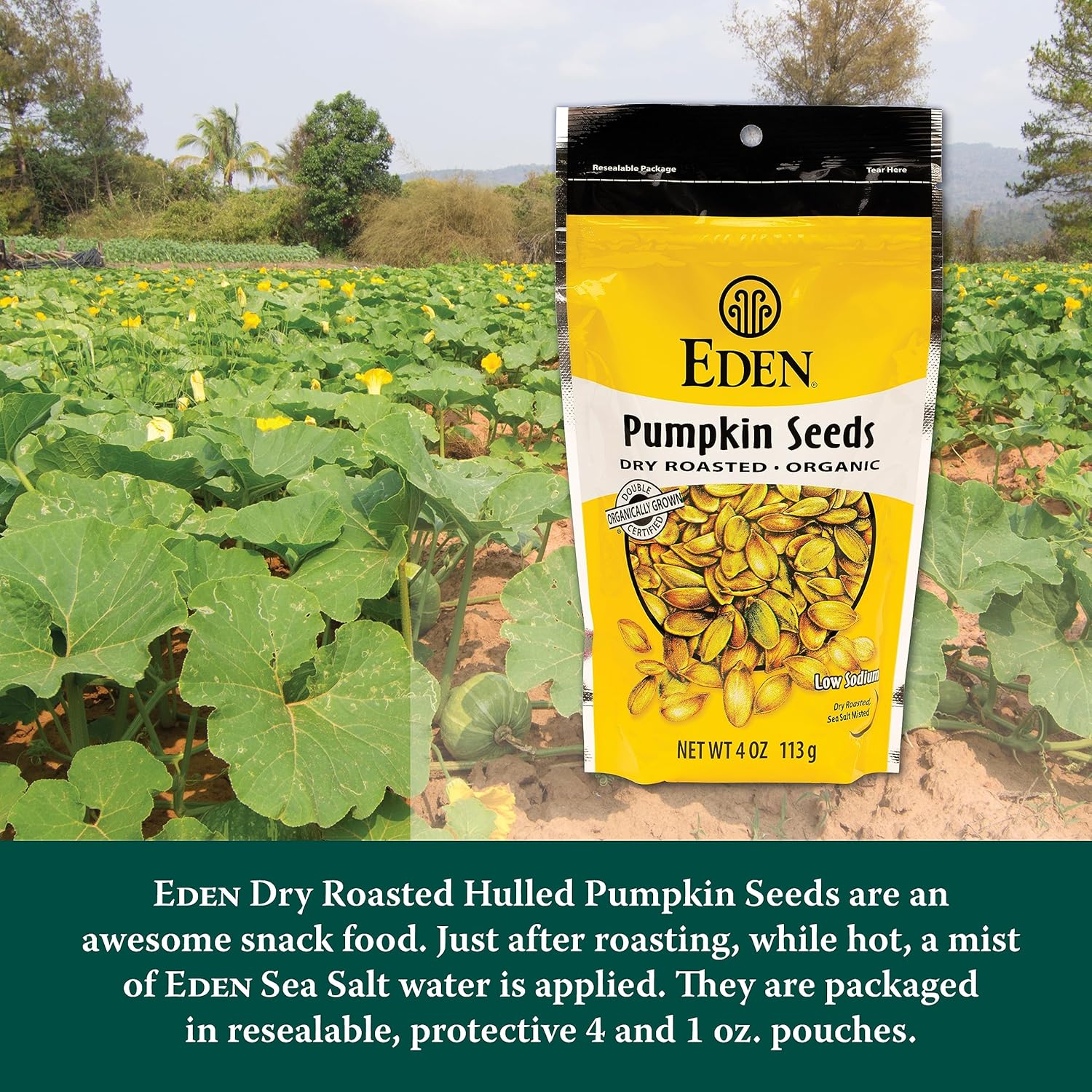 garden of eden seeds Eden Foods Organic Dry Roasted Pumpkin Seeds Sea Salt, 4 Oz